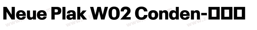 Neue Plak W02 Conden字体转换